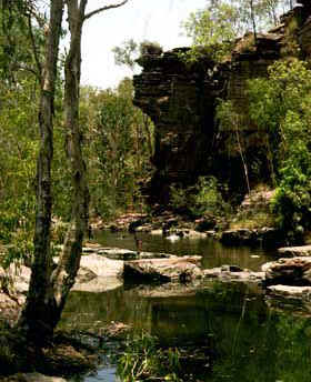 Katherine Gorges