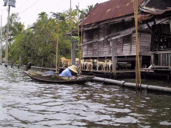 Thai Klong