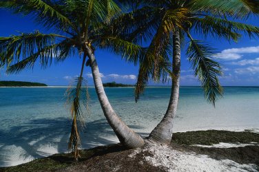 Australien - East Coast